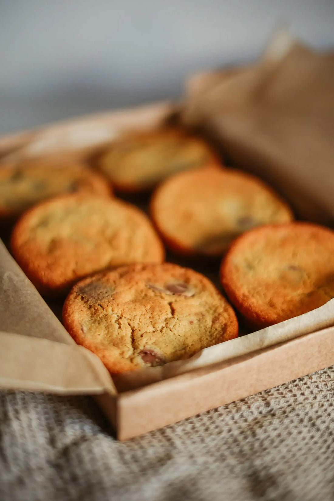 6 × Kinako and Belgian Milk Chocolate Cookies sancha
